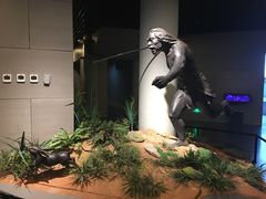 -北京周口店北京人遗址博物馆