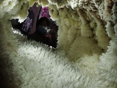 -湖南省地质博物馆