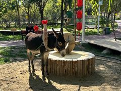 -水上乐园·欢乐世界