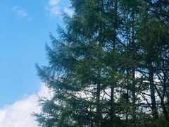 -三块石国家森林公园