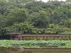 -龙头寺公园