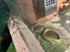 -萌宠奇缘(荣鼎店)