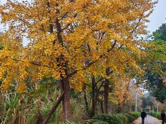 -白鹭湾湿地公园