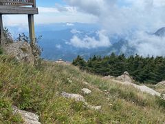 -白草畔自然风景区