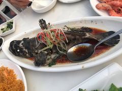 清蒸石斑鱼-南海渔家•海鲜•正宗海南菜(海棠湾店)