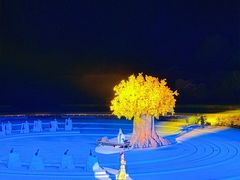 -鼎盛王朝康熙大典实景演出