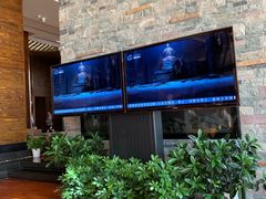 -逸廊大堂吧-千岛湖自由洲际殿