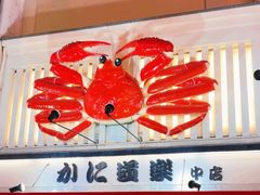 -蟹道乐(道顿堀本店)