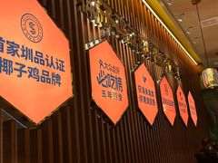 -润园四季椰子鸡火锅(欢乐海岸店)