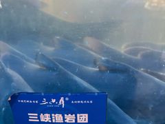 -三只耳冷锅鱼火锅(玉林店)