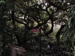 -烈士陵园(地铁站)