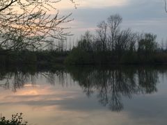 -白鹭湾湿地公园