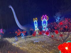 -青龙湖公园