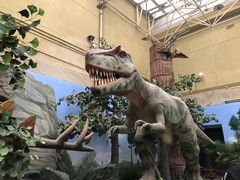 -国家自然博物馆