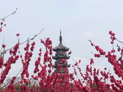 -上海市龙华烈士陵园