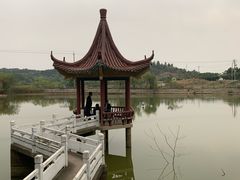 -南京市溧水区傅家边梅花山弄山庄