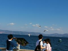 -抚仙湖禄充风景区