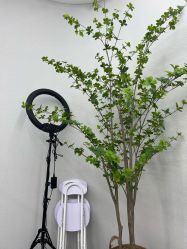 -CIT造型·烫发·染发