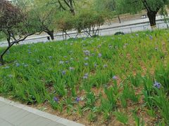 -元大都城垣遗址公园