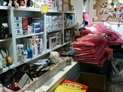 -宠伴小精灵宠物店(鼓楼店)