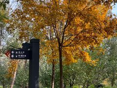 -阳台山自然风景区