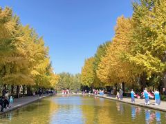 -玲珑塔公园