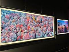 -罗红摄影艺术馆