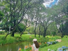 -人民公园(罗湖区)