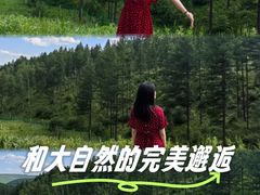 -塞罕坝国家级自然保护区