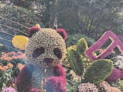 -杭州植物园