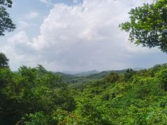 -梧桐山风景名胜区