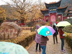 -遵化市禅林寺古银杏风景园