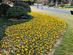 -杭州城北体育公园