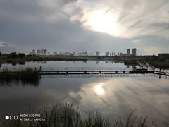 -哈尔滨大剧院