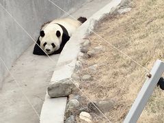 -泰山天颐湖旅游度假区