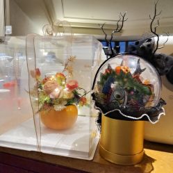 -新寰亚月子会所(金鸡湖凯宾店)
