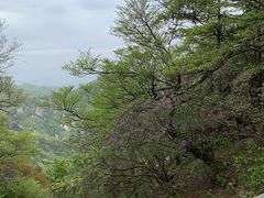-尧山风景区