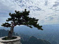 -华山风景名胜区