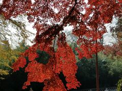 -青岛崂山太清宫