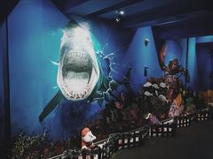 -船奇蒸汽海鲜·闽菜(八市海鲜总店)