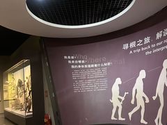 -天津自然博物馆