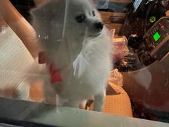 -宠物家(大兴旧宫店)