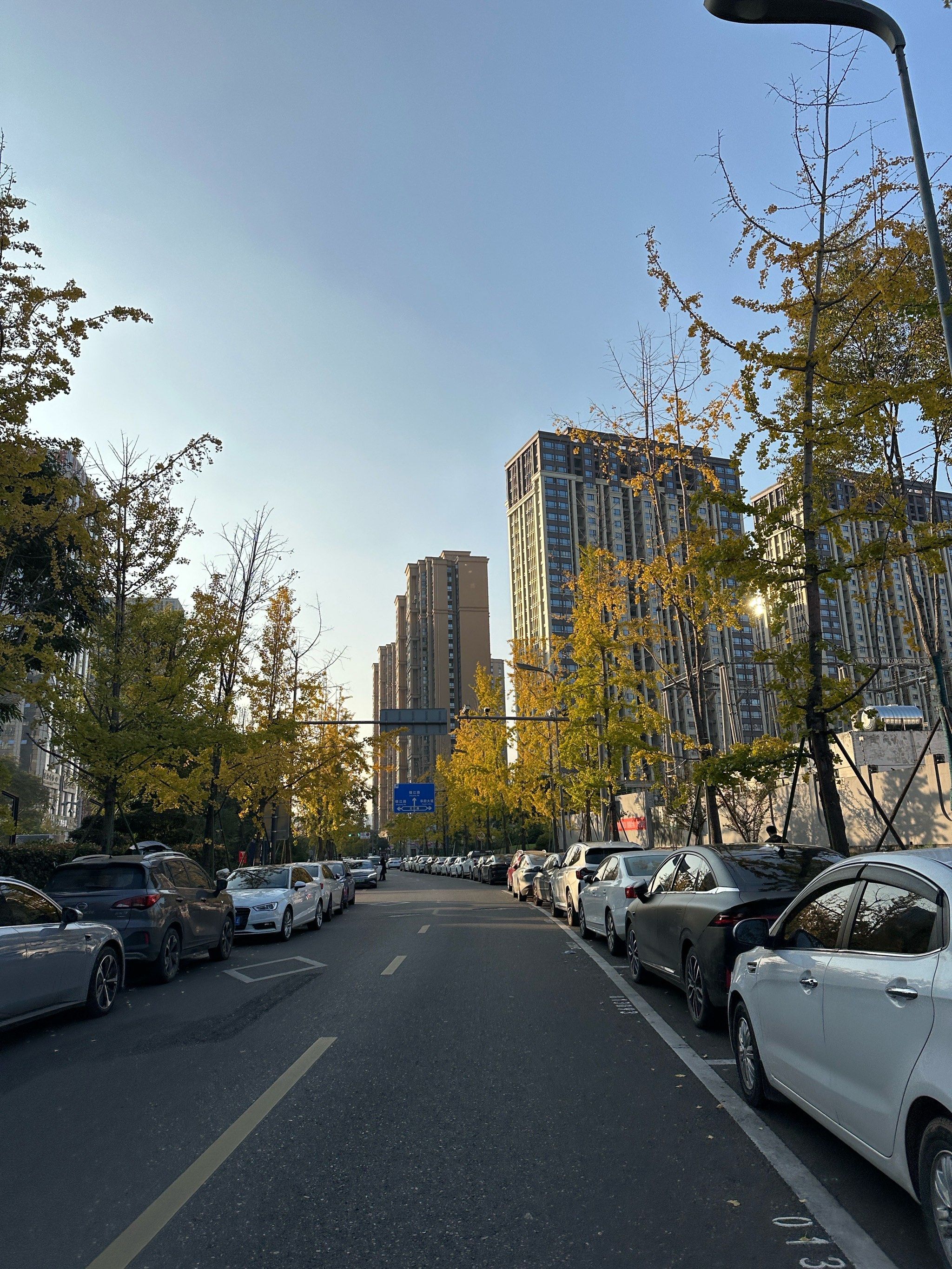 冬街景色随手拍