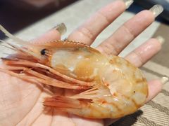 -極上萬膳·日料放题(来福士江景店)