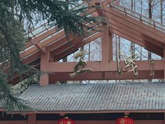 -五泄景区