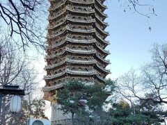 -博雅塔