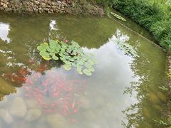 -天河潭旅游度假区