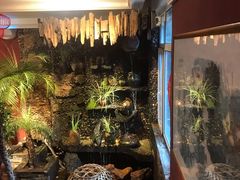 -大匠工房古船木艺术餐厅·猪肚鸡专门店(长白仙岛店)