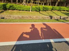 -宜兴龙背山森林公园