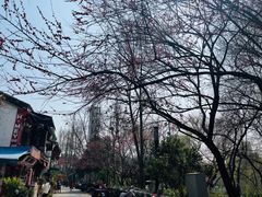 -香积寺